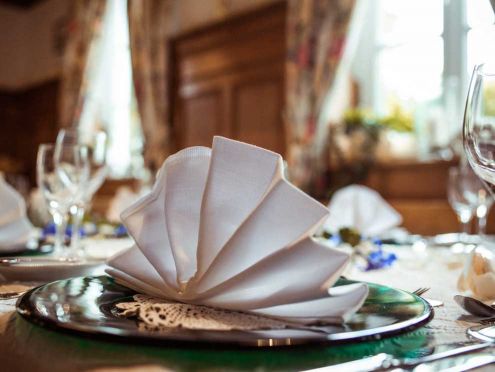 Fanned out napkin on a plate